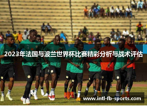2023年法国与波兰世界杯比赛精彩分析与战术评估