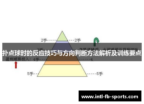 扑点球时的反应技巧与方向判断方法解析及训练要点